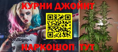 ешки Будённовск