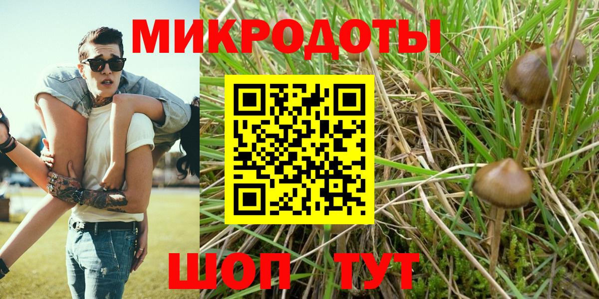 Псилоцибиновые грибы MAGIC MUSHROOMS Красноуфимск