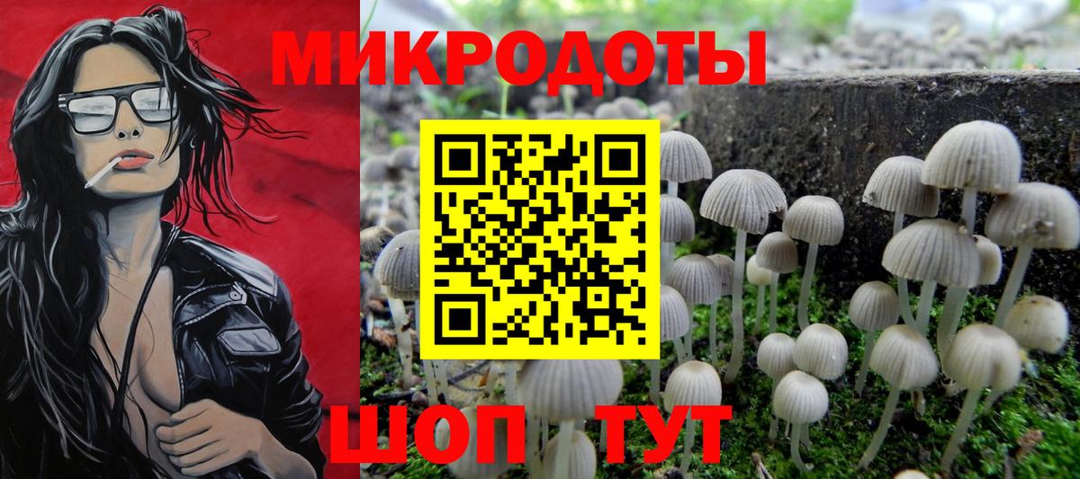 Красноуфимск  Псилоцибиновые грибы Magic Shrooms  Псилоцибиновые грибы Psilocybine cubensis  Вход с VPN 